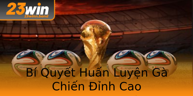Bí Quyết Huấn Luyện Gà Chiến Đỉnh Cao Bí Quyết Huấn Luyện Gà Chiến Đỉnh Cao