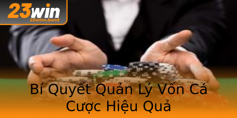 Bí Quyết Quản Lý Vốn Cá Cược Hiệu Quả Bí Quyết Quản Lý Vốn Cá Cược Hiệu Quả