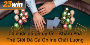 Ca Cuoc A Ga Uy Tin Kham Pha The Gioi A Ga Online Chat Luong