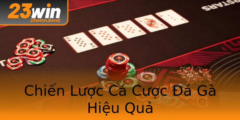 Chiến Lược Cá Cược Đá Gà Hiệu Quả Chiến Lược Cá Cược Đá Gà Hiệu Quả