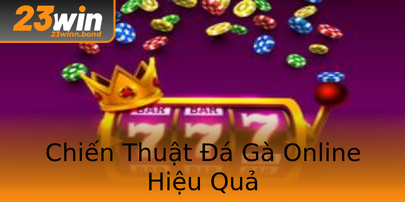 Chiến Thuật Đá Gà Online Hiệu Quả Chiến Thuật Đá Gà Online Hiệu Quả