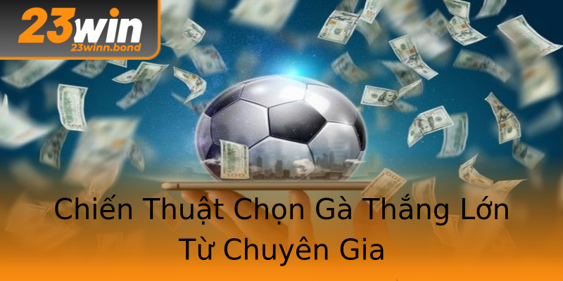 Chiến Thuật Chọn Gà Thắng Lớn Từ Chuyên Gia Chiến Thuật Chọn Gà Thắng Lớn Từ Chuyên Gia