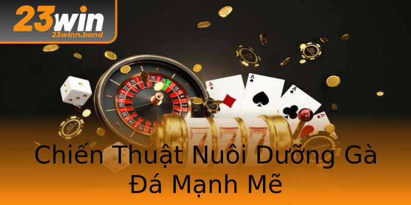 Chiến Thuật Nuôi Dưỡng Gà Đá Mạnh Mẽ Chiến Thuật Nuôi Dưỡng Gà Đá Mạnh Mẽ