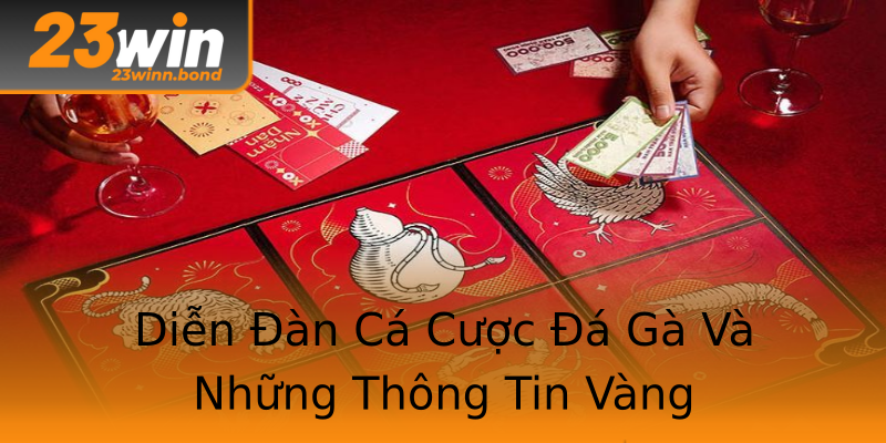 Diễn Đàn Cá Cược Đá Gà Và Những Thông Tin Vàng Diễn Đàn Cá Cược Đá Gà Và Những Thông Tin Vàng