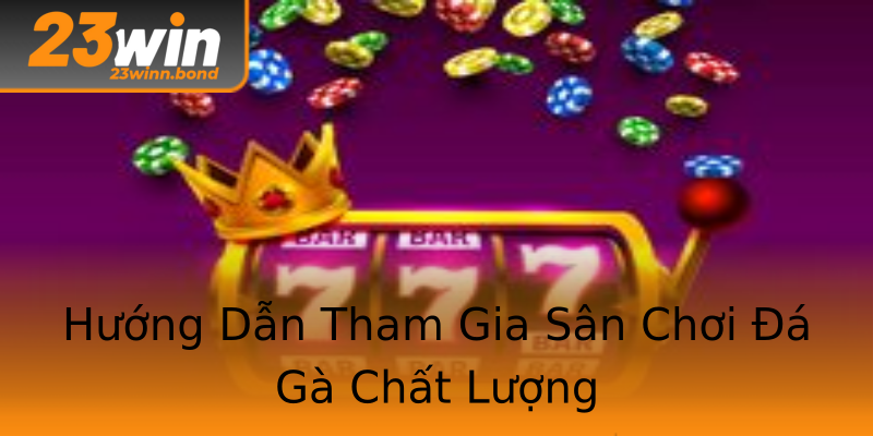 Hướng Dẫn Tham Gia Sân Chơi Đá Gà Chất Lượng Hướng Dẫn Tham Gia Sân Chơi Đá Gà Chất Lượng