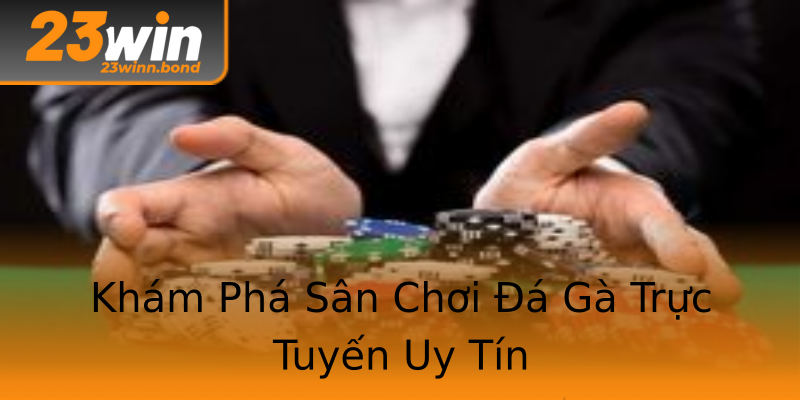 Khám Phá Sân Chơi Đá Gà Trực Tuyến Uy Tín Khám Phá Sân Chơi Đá Gà Trực Tuyến Uy Tín