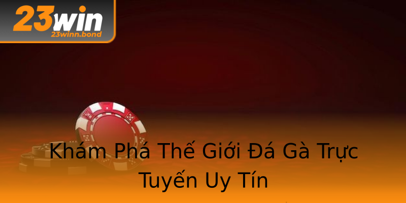 Khám Phá Thế Giới Đá Gà Trực Tuyến Uy Tín Khám Phá Thế Giới Đá Gà Trực Tuyến Uy Tín