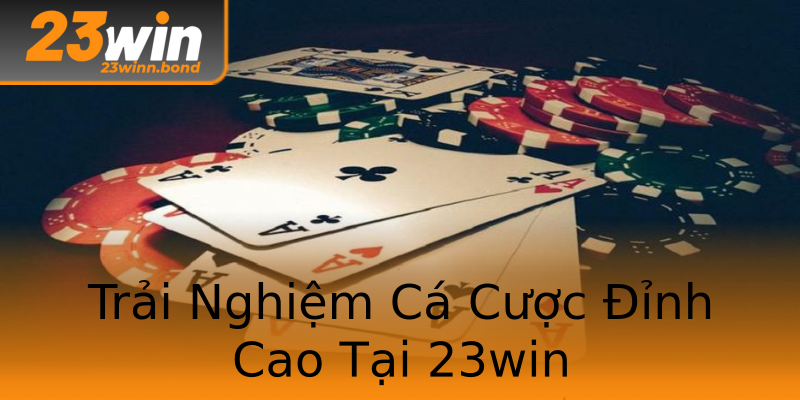 Trải Nghiệm Cá Cược Đỉnh Cao Tại 23win Trải Nghiệm Cá Cược Đỉnh Cao Tại 23win