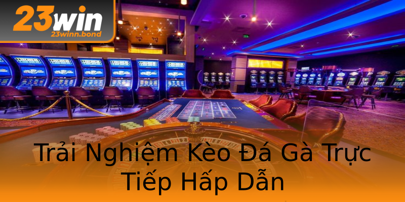 Trải Nghiệm Kèo Đá Gà Trực Tiếp Hấp Dẫn Trải Nghiệm Kèo Đá Gà Trực Tiếp Hấp Dẫn
