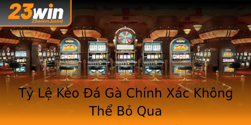 Tỷ Lệ Kèo Đá Gà Chính Xác Không Thể Bỏ Qua Tỷ Lệ Kèo Đá Gà Chính Xác Không Thể Bỏ Qua